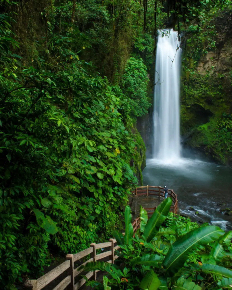 Waterfall surrounded by tropical forest in Costa Rica